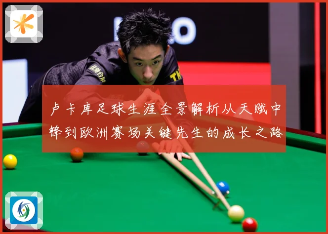 卢卡库足球生涯全景解析从天赋中锋到欧洲赛场关键先生的成长之路-深度解析