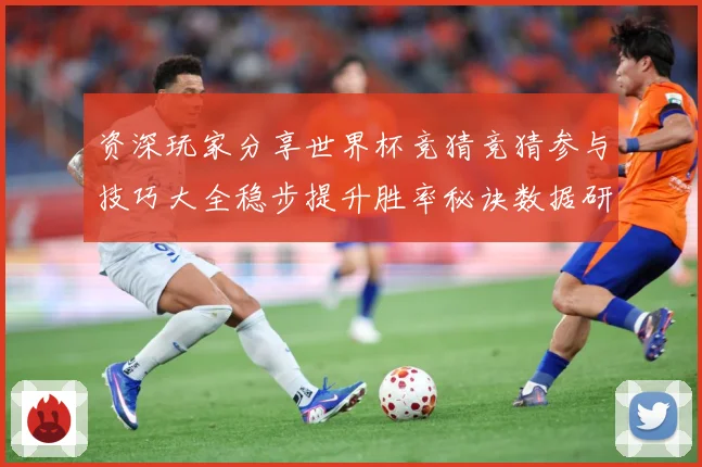 资深玩家分享世界杯竞猜竞猜参与技巧大全稳步提升胜率秘诀数据研判-深度解析