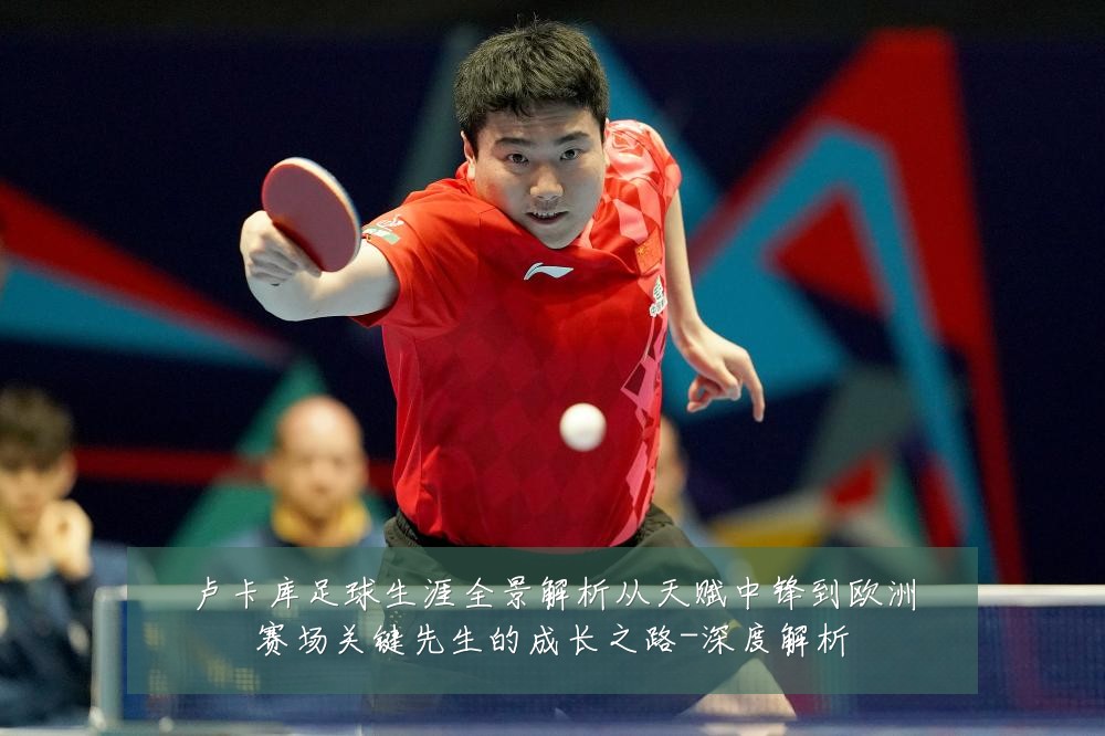 卢卡库足球生涯全景解析从天赋中锋到欧洲赛场关键先生的成长之路-深度解析